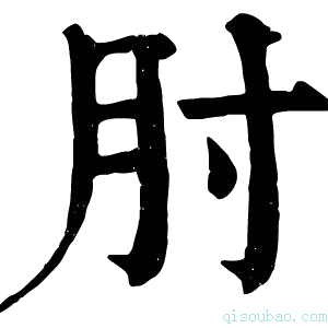 康熙字典肘