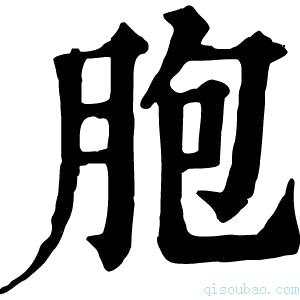 康熙字典胞