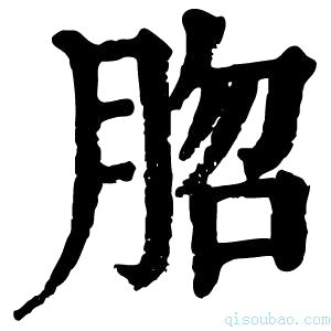 康熙字典脗